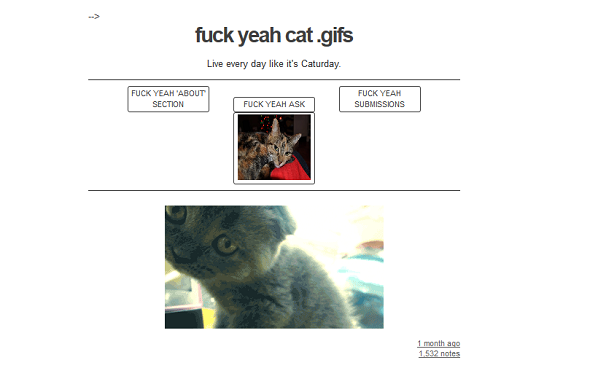 10 из лучших забавных котов Tumblrs для исполнения вашего кошачьего фетиша ебут да гифки