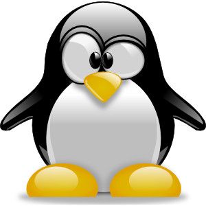программное обеспечение Linux