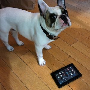 Blackberry Playbook обзор