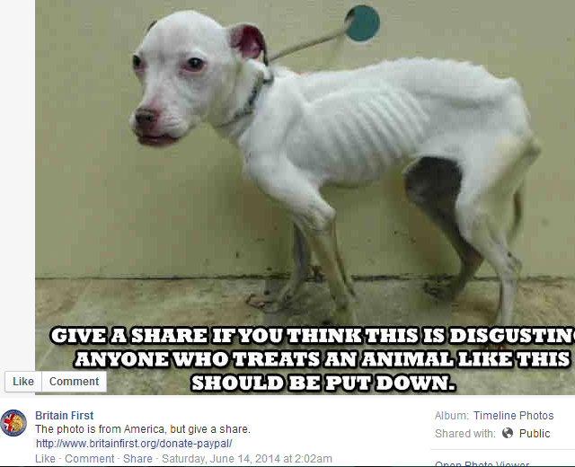 14-Dog-Злоупотребление Пожертвовать