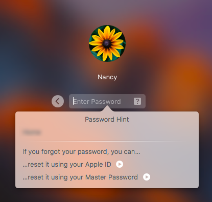 4 простых способа сбросить ваш забытый пароль Mac Главный пароль