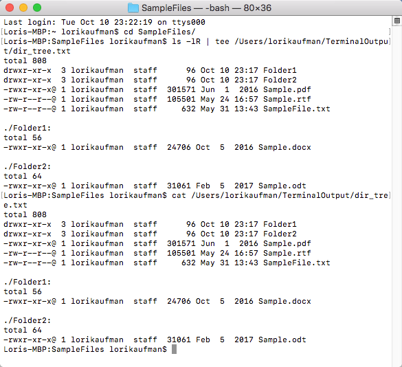 сохранить вывод командной строки windows mac linux