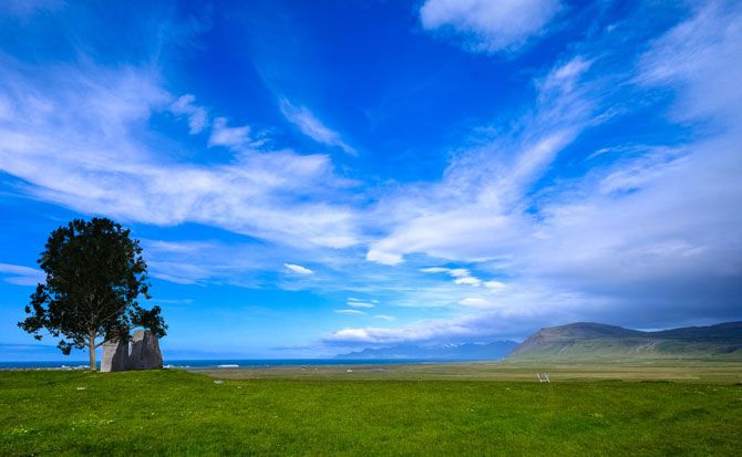 Деревья фотошопа