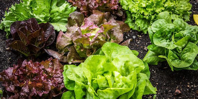 10 увлечений для программистов' /></p><script data-noptimize=