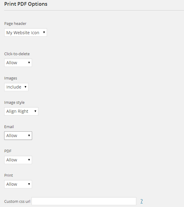 Плагин WordPress для печати - Настройки - Параметры печати PDF