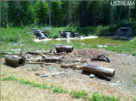 бесплатные веб-камеры для просмотра