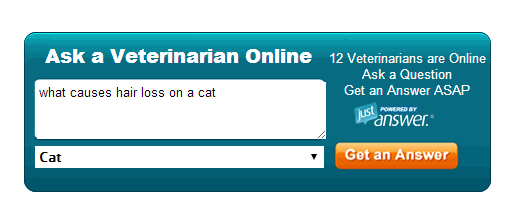 PetMD-спросить-а-ветеринара-онлайн