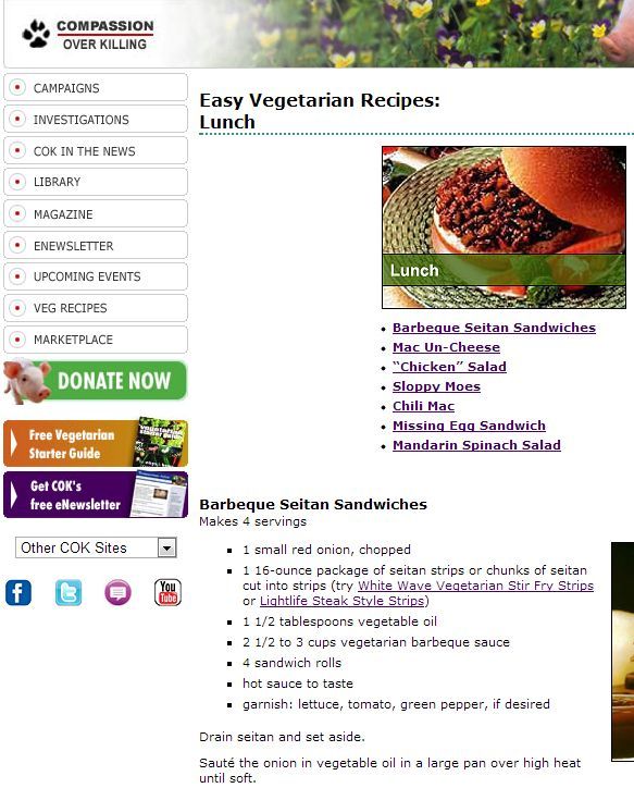 7 рецептов вегетарианских рецептов для борющегося с пожилыми людьми вегетарианца8