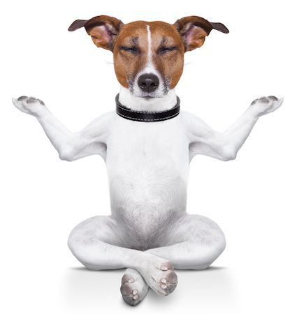 8 Tiny Tweaks для мгновенного минималистского опыта браузера meditatingdog