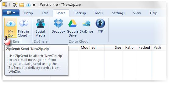 WinZip 17 Pro для Windows: переработан для социальных сетей и облачных вычислений [Giveaway] winzip06