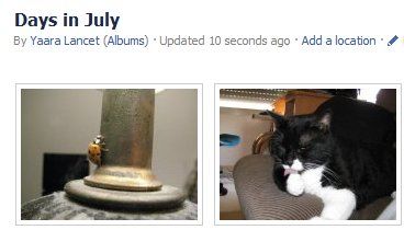 передача фотографий facebook альбом другой альбом