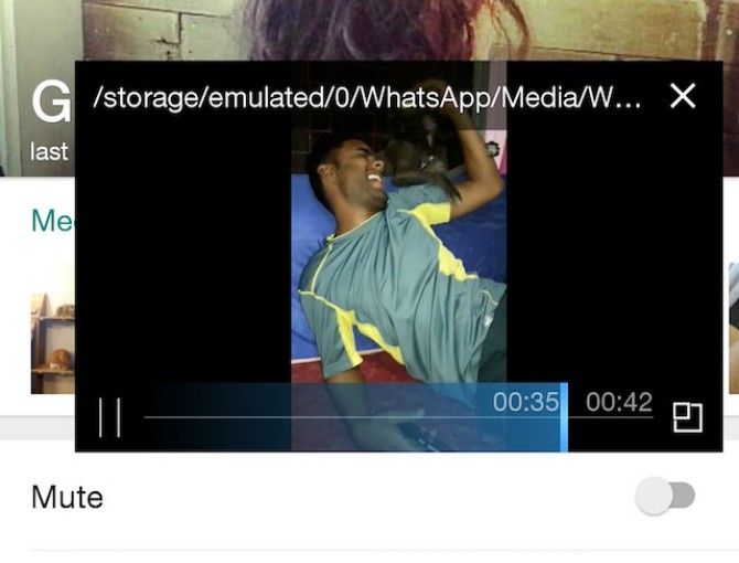 WhatsApp видео всплывающее зум