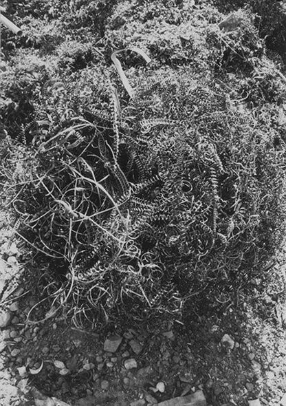 3 причины, почему вы не должны' /></p><script data-noptimize=