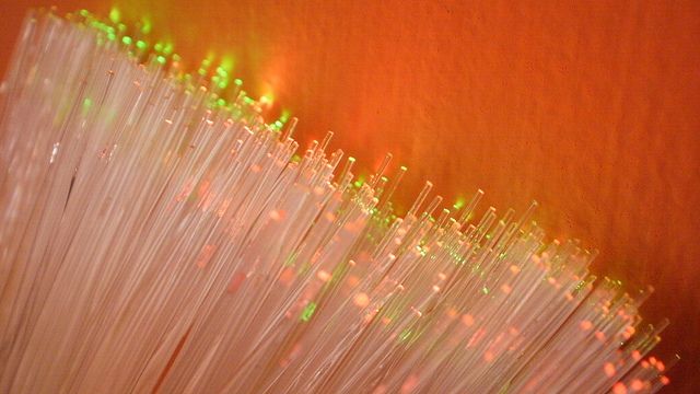4753800195_cc64102c2b_z