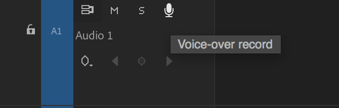 Кнопка записи голоса поверх Premiere Pro