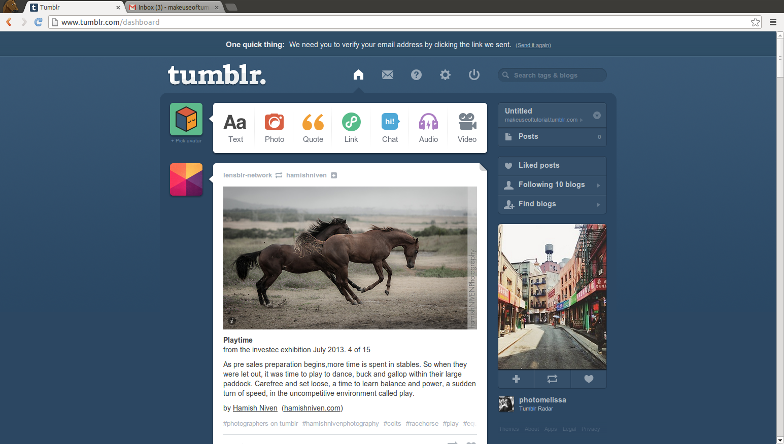 Неофициальный, начинающий' /><br />
Поздравляем! Теперь у вас есть свой собственный Tumblr!</p>
<h2 id=