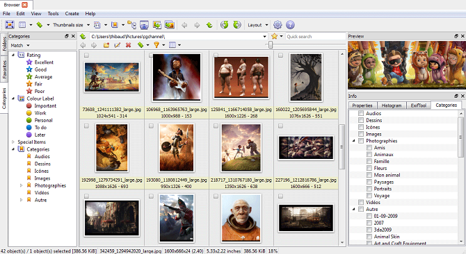 Окна приложения XnView MP