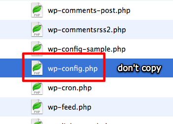WP-Config.png
