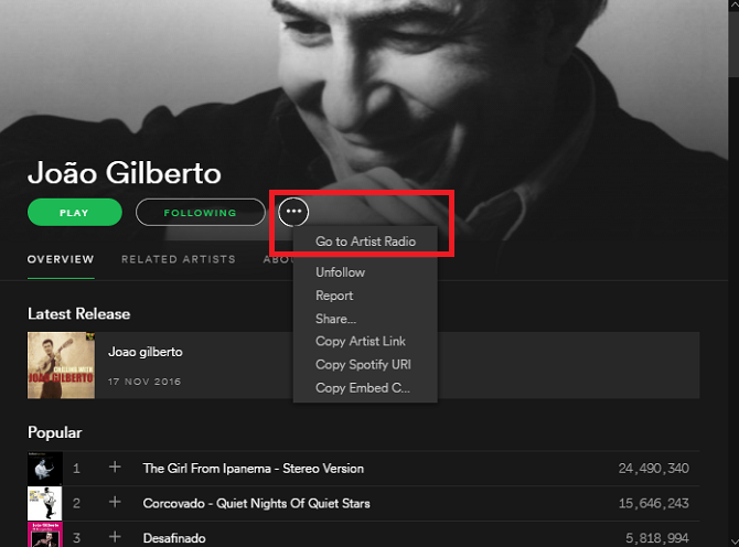 Радио Spotify Artist