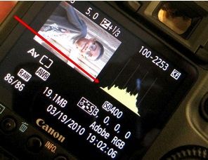 Как читать вашу камеру' />Цифровая фотография предоставляет нам множество инструментов, помогающих делать более качественные фотографии. В отличие от старых кинематографических дней, у нас теперь есть способы проверить, насколько хорошо выставлены или измерены наши снимки, прежде чем их фактически напечатать.</p>
<p>Большинство фотографов борются с просмотром изображений на задней панели ЖК-экрана, чтобы оценить, насколько они хорошо видны. Но поскольку ЖК-экраны могут быть довольно маленькими и хорошо освещенными, они могут сделать фотографии лучше, чем они выглядят на гораздо больших компьютерных экранах.</p>
<p>Кроме того, иногда просмотр фотографий на ЖК-экране камеры может не привести к потере деталей в тенях или темных областях изображения, а также в белых или ярких областях. Когда мы действительно заинтересованы в том, чтобы получить наилучшую экспозицию для наших фотографий, мы можем использовать функцию увеличения камеры, чтобы оценить экспозицию и резкость наших изображений. Кроме того, мы могли бы использовать <strong>Гистограмма</strong> инструмент как нашей цифровой камеры, так и графического редактора, чтобы увидеть, насколько хорошо экспонируются наши изображения.</p>
<p><span id=