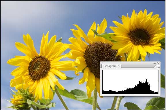 Как читать вашу камеру' /></p>
<p>Точно так же, на этой фотографии ниже, освещение на объектах было равномерным, а гистограмма изображает экспозицию без обрывов. А поскольку график разбросан, а не сгруппирован посередине, это указывает на то, что фотография также имеет хороший контраст.</p>
<p><noscript><img decoding=