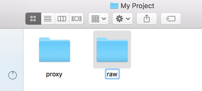 Переименование папок Proxy и Raw в macOS