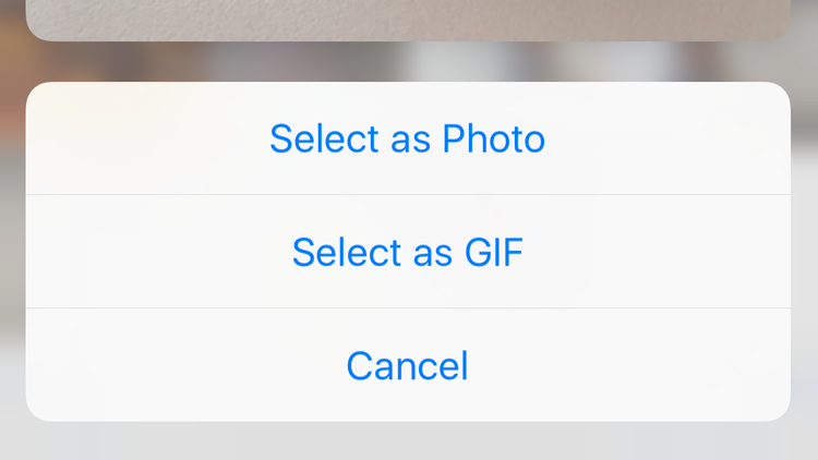 Как отправить GIF-файлы в WhatsApp