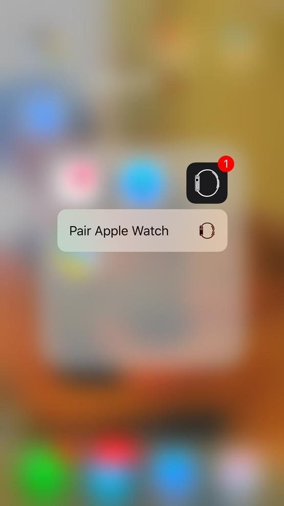 Пара Apple Watch